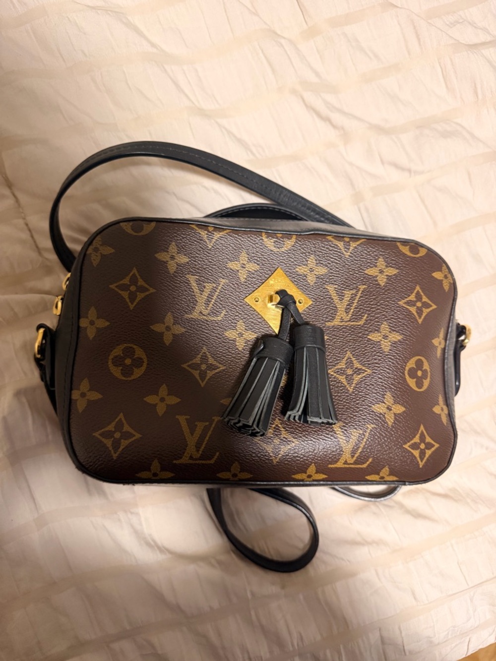Authentic Louis Vuitton Monogram
Canvas Saintonge Shoulder Bag - Picture 7 of 12